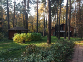 Дом в Сосновом бору Pushkino